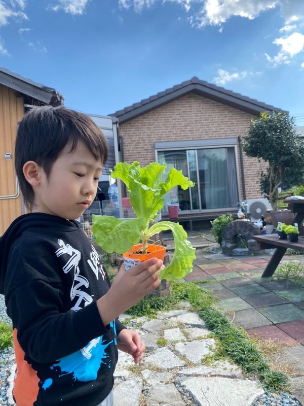 ３歳の息子が家庭菜園のお手伝いをしている 